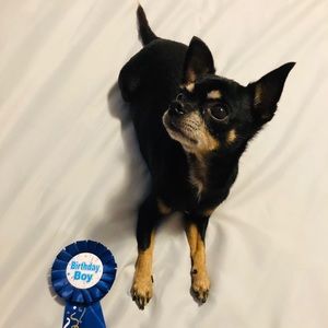 Meet your Posher, Josh